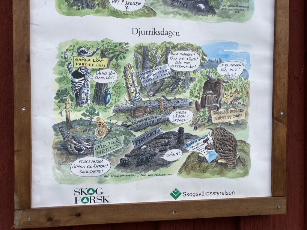 Äldre affisch från Skogsvårdsstyrelsen